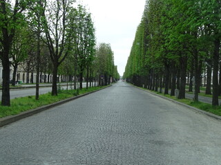 calle de París totalmente vacía por cuarentena de coronavirus. Perspectiva con árboles y señales de tránsito. algunos edificios