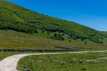 Fototapeta premium landscape with road and mountains