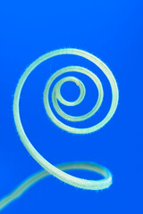 Tendrils of plants by taking very close up shots