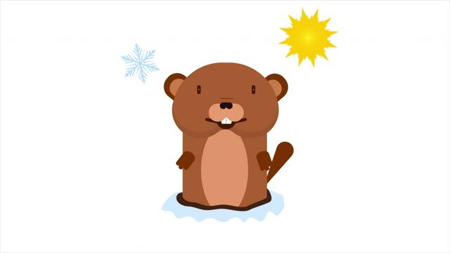 Marmot predicts the weather, art video illustration.