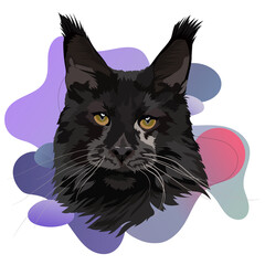 Portrait of a black cat Maine Coon breed, vector head illustration