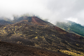 Mount Etna volcanic landscape and its typical vegetation, Sicily