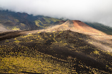 Mount Etna volcanic landscape and its typical vegetation, Sicily