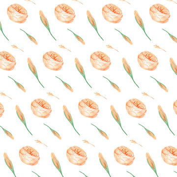leaf and flower blossom watercolor collection 
