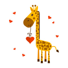 Saint Valentine's Day greeting card. 14 february. Cute giraffe with heart. Vector