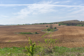 Fototapeta na wymiar Spring landscape of Danubian Plain, Bulgaria