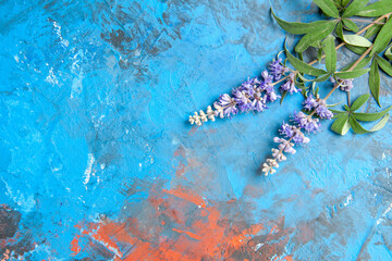 top view purple flower branch on blue background free space