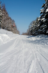 雑木林を抜ける雪道と青空
