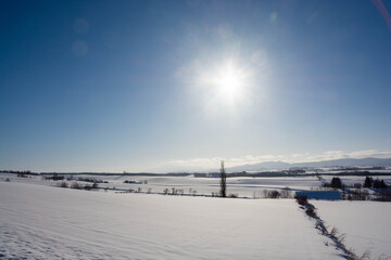 雪の覆われた丘陵地帯と太陽

