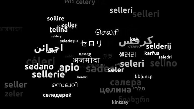 Celery Translated in 66 Worldwide Languages Endless Looping 3d Zooming Wordcloud Mask