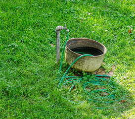Faucet, tub and garden hose on lawn