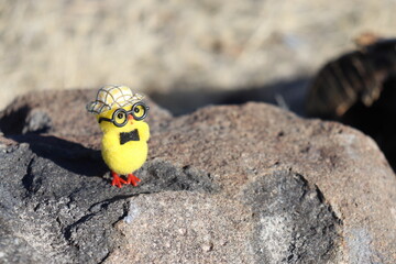 Mountain Home Outskirts