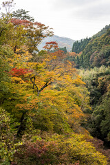吾妻峡の紅葉　群馬県