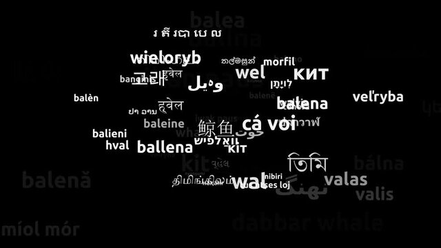 Whale Translated in 64 Worldwide Languages Endless Looping 3d Zooming Wordcloud Mask