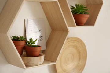 Hexagon wooden shelves with beautiful plants and decorative elements on light wall