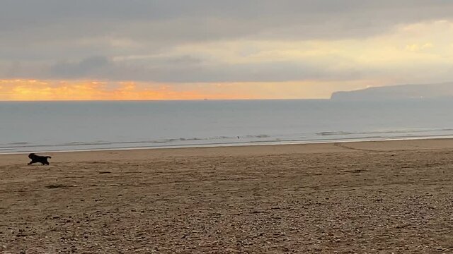 beach with man walking dog at sunset, Camber sands beach popular in summer with day trippers and winter with horse riders and dog walkers 