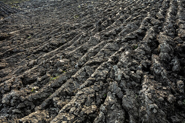 Autumn. Plowed Field Black Earth Agricultural Background