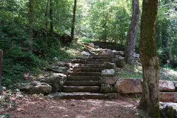 stairs in forest