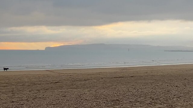 beach with man walking dog at sunset, Camber sands beach popular in summer with day trippers and winter with horse riders and dog walkers 