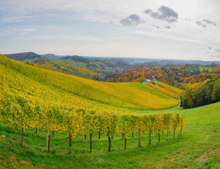 Fototapeta na wymiar Autumn landscape with South Styria vineyards, known as Austrian Tuscany, a charming region on the border between Austria and Slovenia with rolling hills, picturesque villages and wine taverns