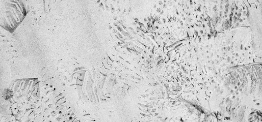 Black and White texture