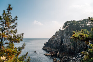 Fototapeta premium Hajodae sea and rocky cliffs with pine trees in Yangyang, Korea