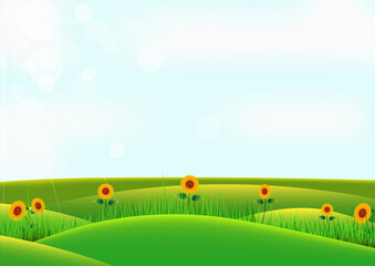 Sunflower and grass on hill with sky background.