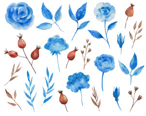 Watercolor set with blue roses and leaves, dried herbs and red rose hip.