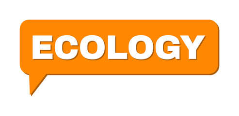 Conversation ECOLOGY Colored Cloud Frame. ECOLOGY text is located inside colored cloud with shadow. Vector quote text inside forum frame.