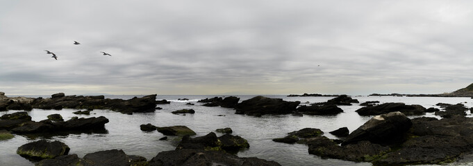 磯 Seascape panorama