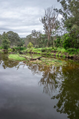 Fototapeta na wymiar Wapengo Creek vert