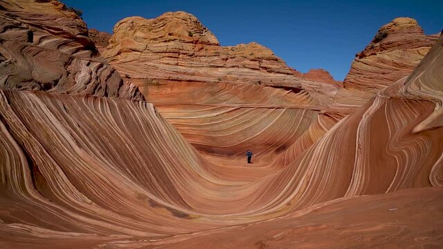 Man walking on The Wave sandstone structure in Arizona desert. Delicate sandstone carved by thousands of years of wind erosion. Unique geological formation and hiking trail near Knab Utah.