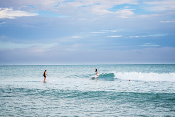 Surfing Along the Coastline in Mon Repos
