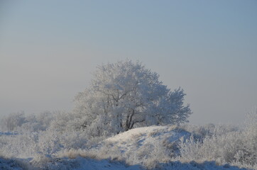 frost and sun