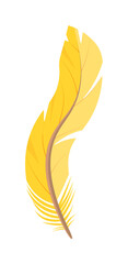 Yellow curved feather design element on white background