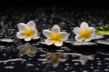 Gordijnen spa still life of with three white frangipani ,leaves and zen black stones ,wet background  © Mee Ting