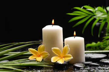 spa still life of with yellow 
frangipani and two candle with zen black stones ,green palm wet background
