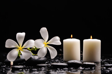 spa still life of with two 
white frangipani and zen black stones and two candle on wet background
