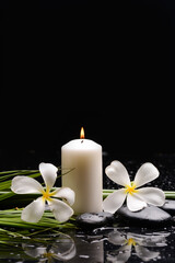 Fototapeta na wymiar spa still life of with six white frangipani and zen black stones ,candle, green long leaves on wet background 