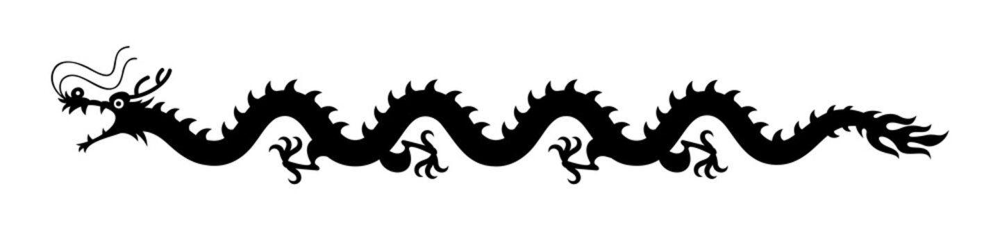 graphic black dragon on white background, vector