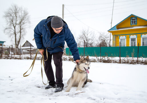 a man walking his dog Alaskan Malamute and playing with it