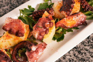 Elongated tray with Galician Octopus, with potatoes, paprika, olive oil on a granite background. Spanish ethnic cuisine concept.