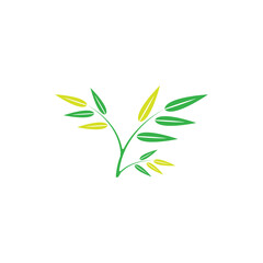 Leaf Logo Template vector symbol nature