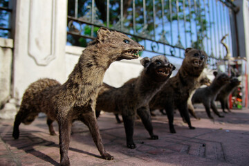 Various civet cats are deliberately preserved for decoration and are traded in the Malioboro area.