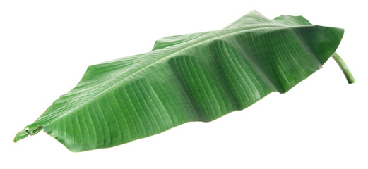 fresh banana leaf isolated on white background © Amy Lv