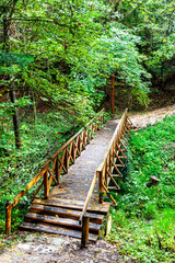 Forestry track with a timber footbridge. 
