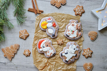 four Christmas gingerbread in glaze in the form of bulls, Christmas symbols 2021, on a white table with New Year's decor, horizontal.