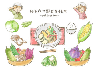採れたて野菜を料理