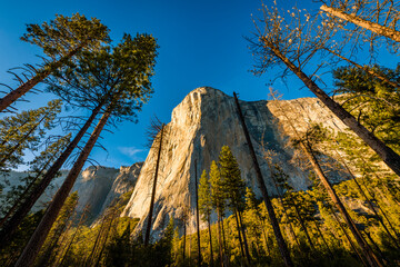 Yosemite El Capitan sunset view - obrazy, fototapety, plakaty