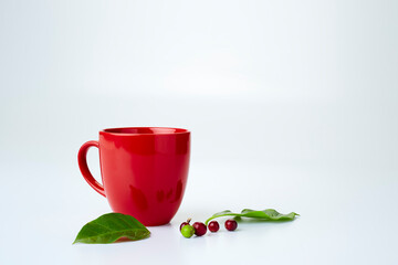 coffee beans with leaves and  empty red cup